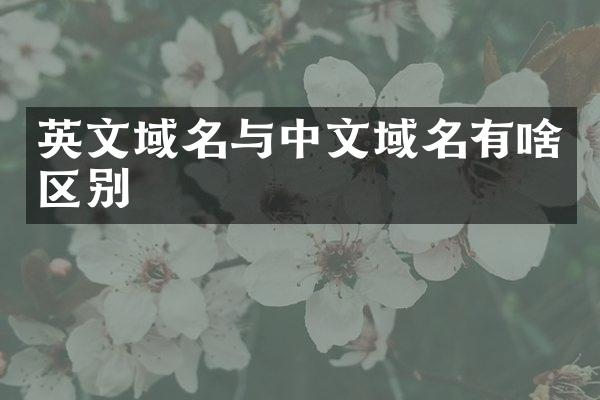 英文域名与中文域名有啥区别