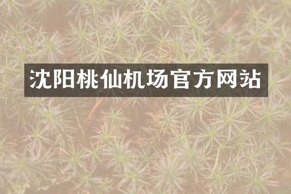 沈阳桃仙机场官方网站