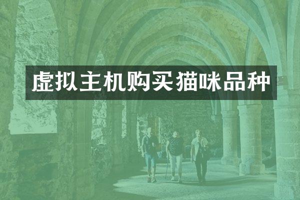 虚拟主机购买猫咪品种
