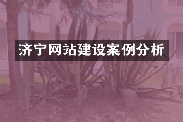 济宁网站建设案例分析