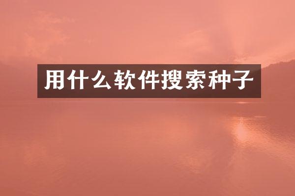 用什么软件搜索种子