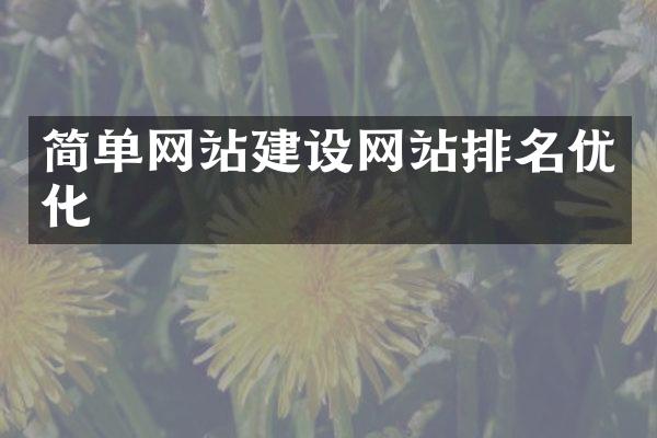 简单网站建设网站排名优化