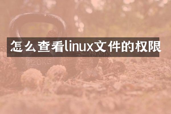 怎么查看linux文件的权限