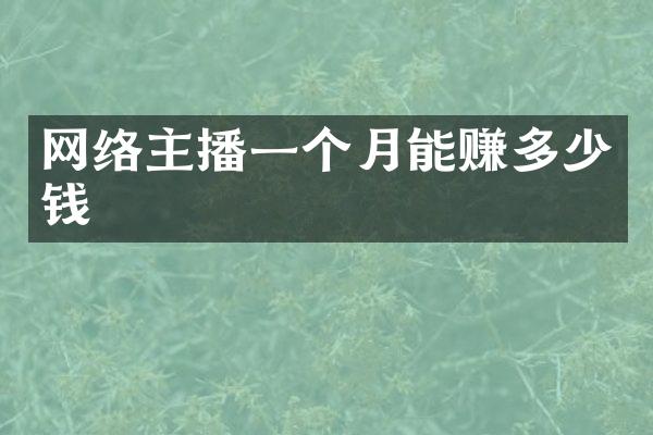 网络主播一个月能赚多少钱