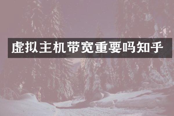虚拟主机带宽重要吗知乎