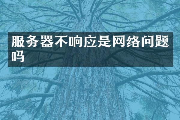 服务器不响应是网络问题吗
