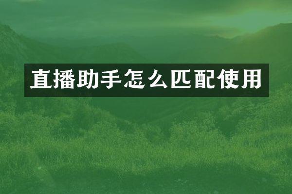 直播助手怎么匹配使用