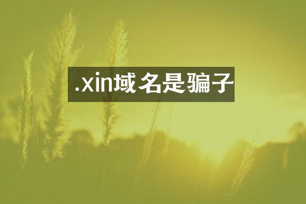 .xin域名是骗子
