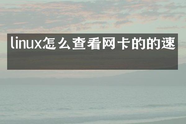 linux怎么查看网卡的的速率