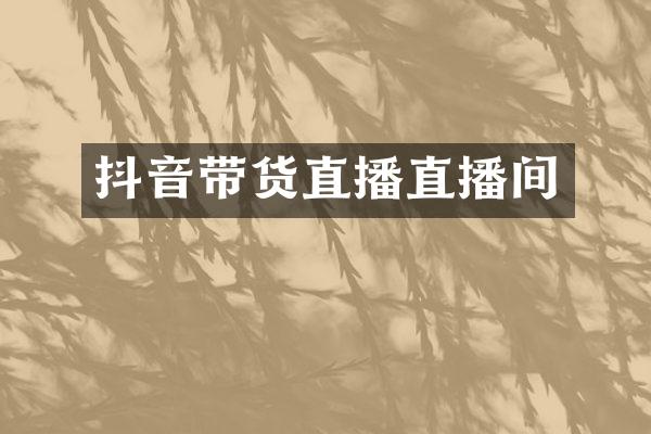 抖音带货直播直播间