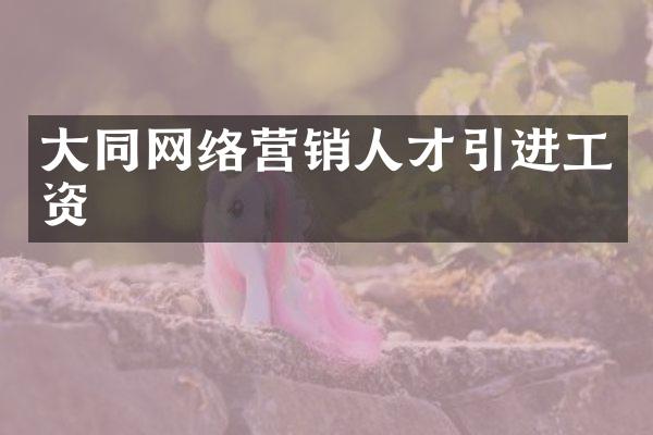大同网络营销人才引进工资