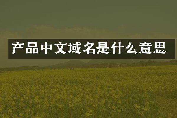 产品中文域名是什么意思