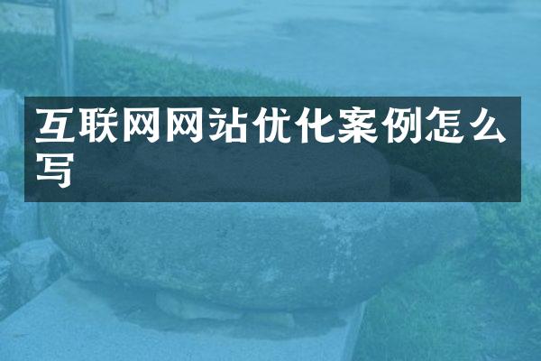互联网网站优化案例怎么写