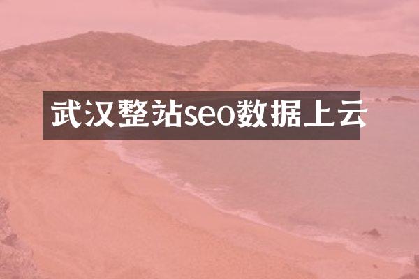 武汉整站seo数据上云