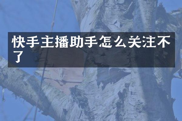 快手主播助手怎么关注不了