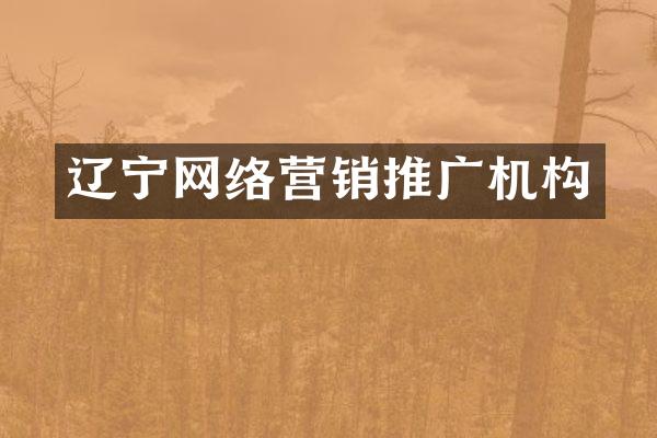 辽宁网络营销推广机构