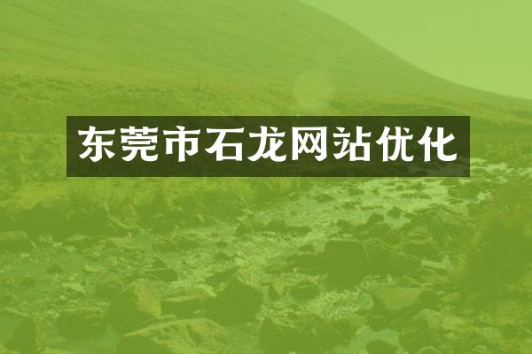 东莞市石龙网站优化