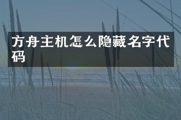 方舟主机怎么隐藏名字代码
