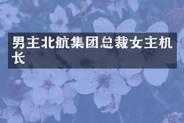 男主北航集团总裁女主机长