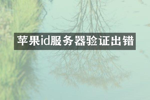 苹果id服务器验证出错
