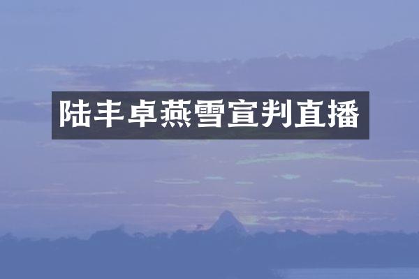 陆丰卓燕雪宣判直播