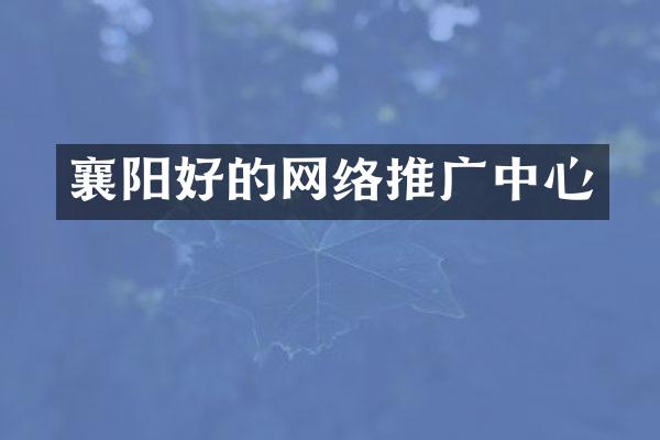 襄阳好的网络推广中心