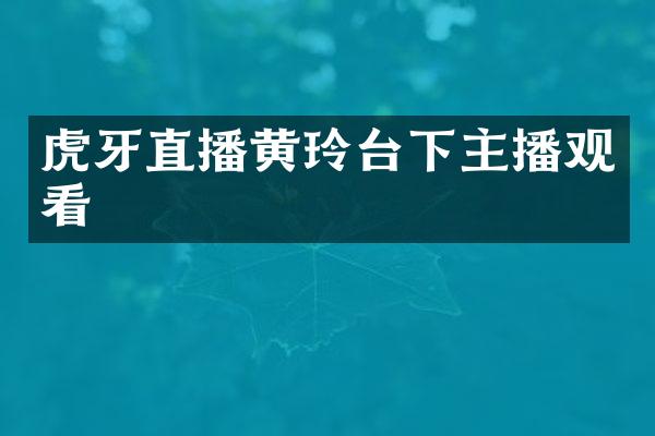 虎牙直播黄玲台下主播观看