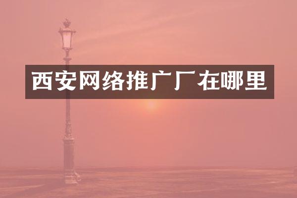 西安网络推广厂在哪里