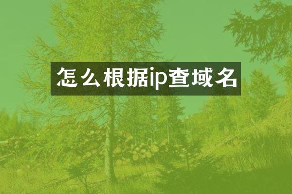 怎么根据ip查域名