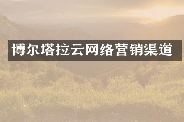博尔塔拉云网络营销渠道