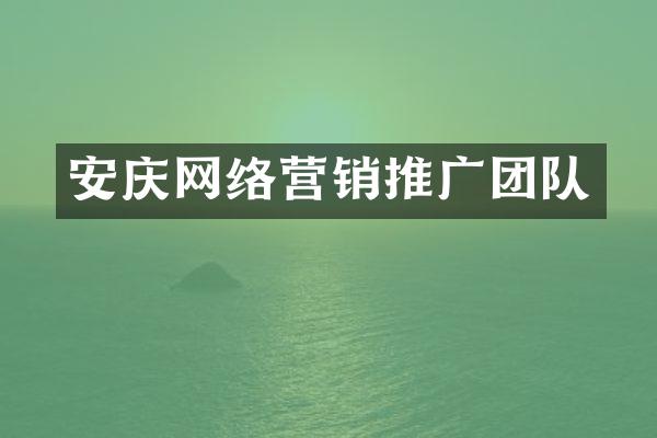 安庆网络营销推广团队