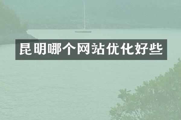 昆明哪个网站优化好些