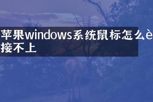 苹果windows系统鼠标怎么连接不上