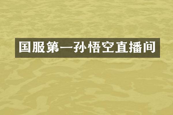 国服第一孙悟空直播间