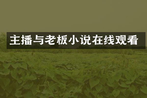主播与老板小说在线观看