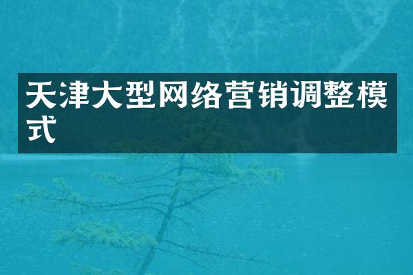 天津大型网络营销调整模式