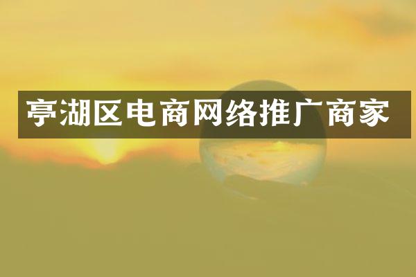 亭湖区电商网络推广商家