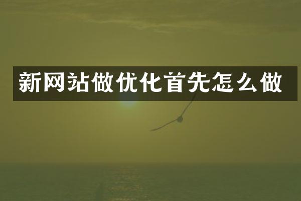 新网站做优化首先怎么做