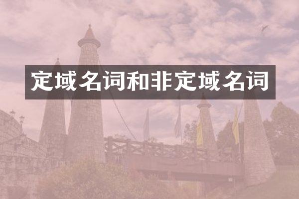 定域名词和非定域名词