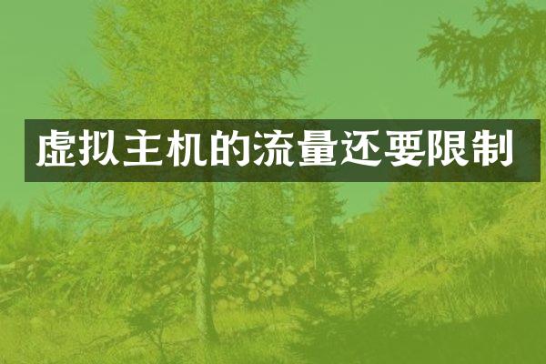 虚拟主机的流量还要限制