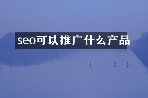 seo可以推广什么产品