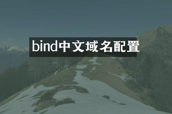 bind中文域名配置