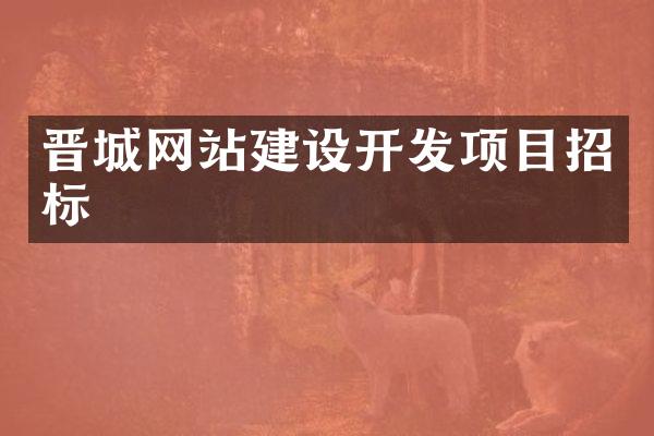晋城网站建设开发项目招标