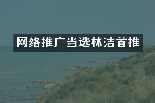 网络推广当选林洁首推