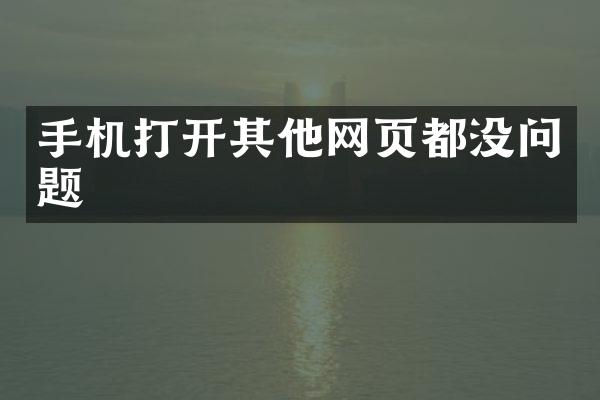 手机打开其他网页都没问题