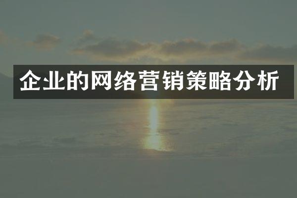 企业的网络营销策略分析