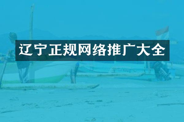 辽宁正规网络推广大全