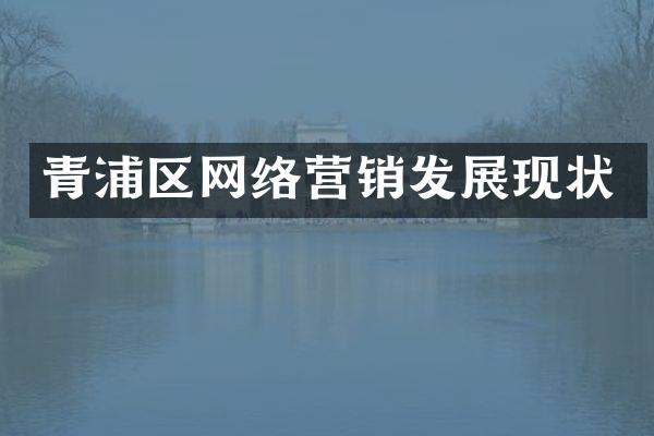 青浦区网络营销发展现状
