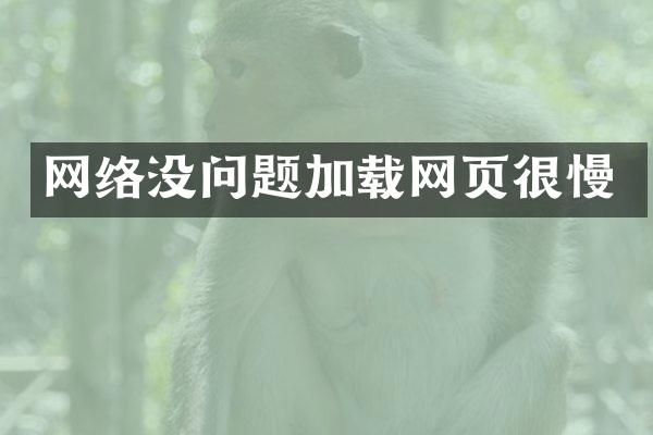 网络没问题加载网页很慢