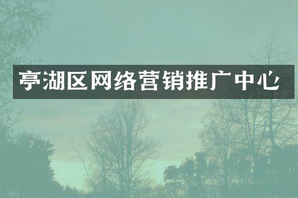 亭湖区网络营销推广中心